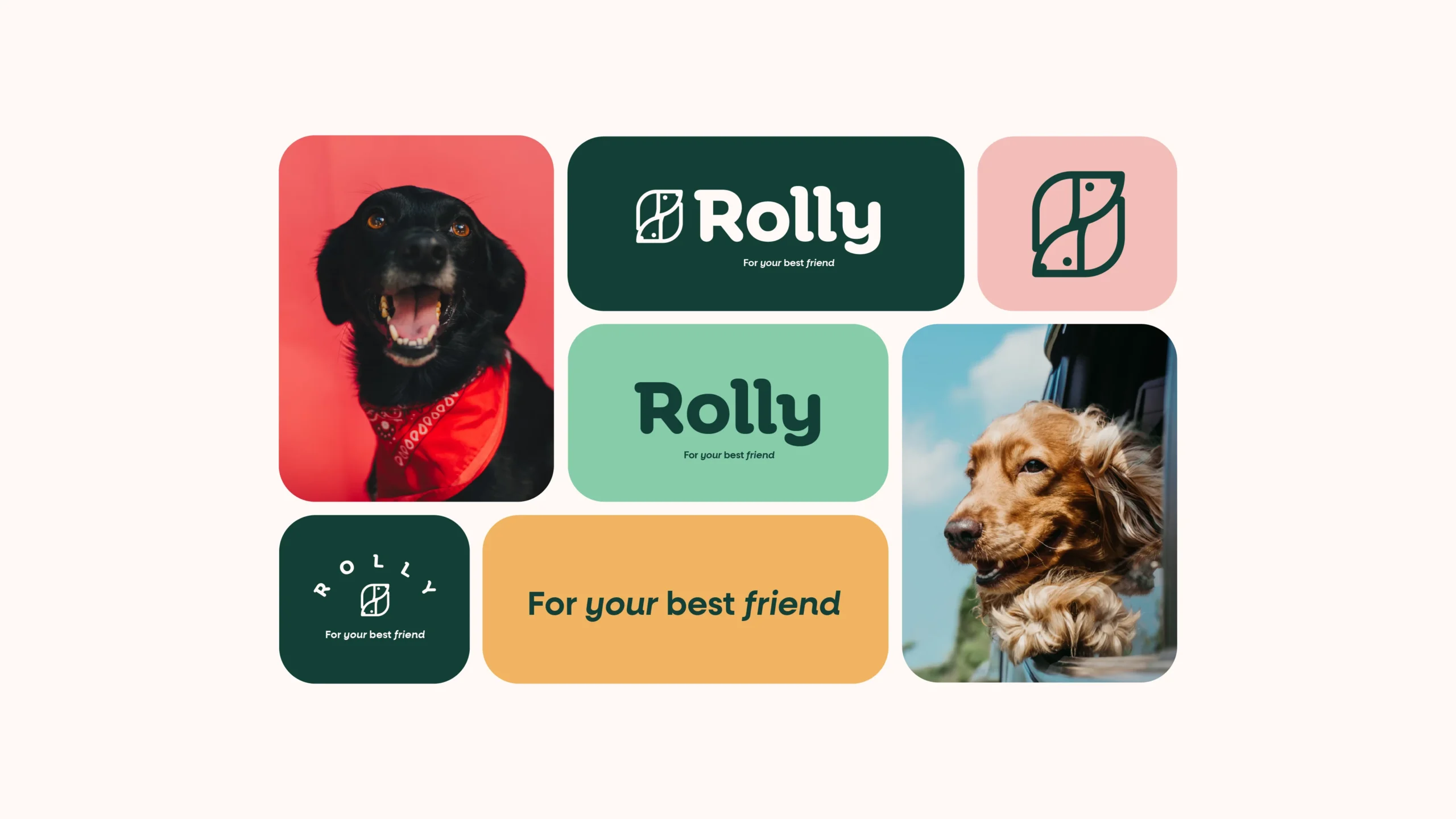 IDENTIDAD-ROLLY-03-scaled