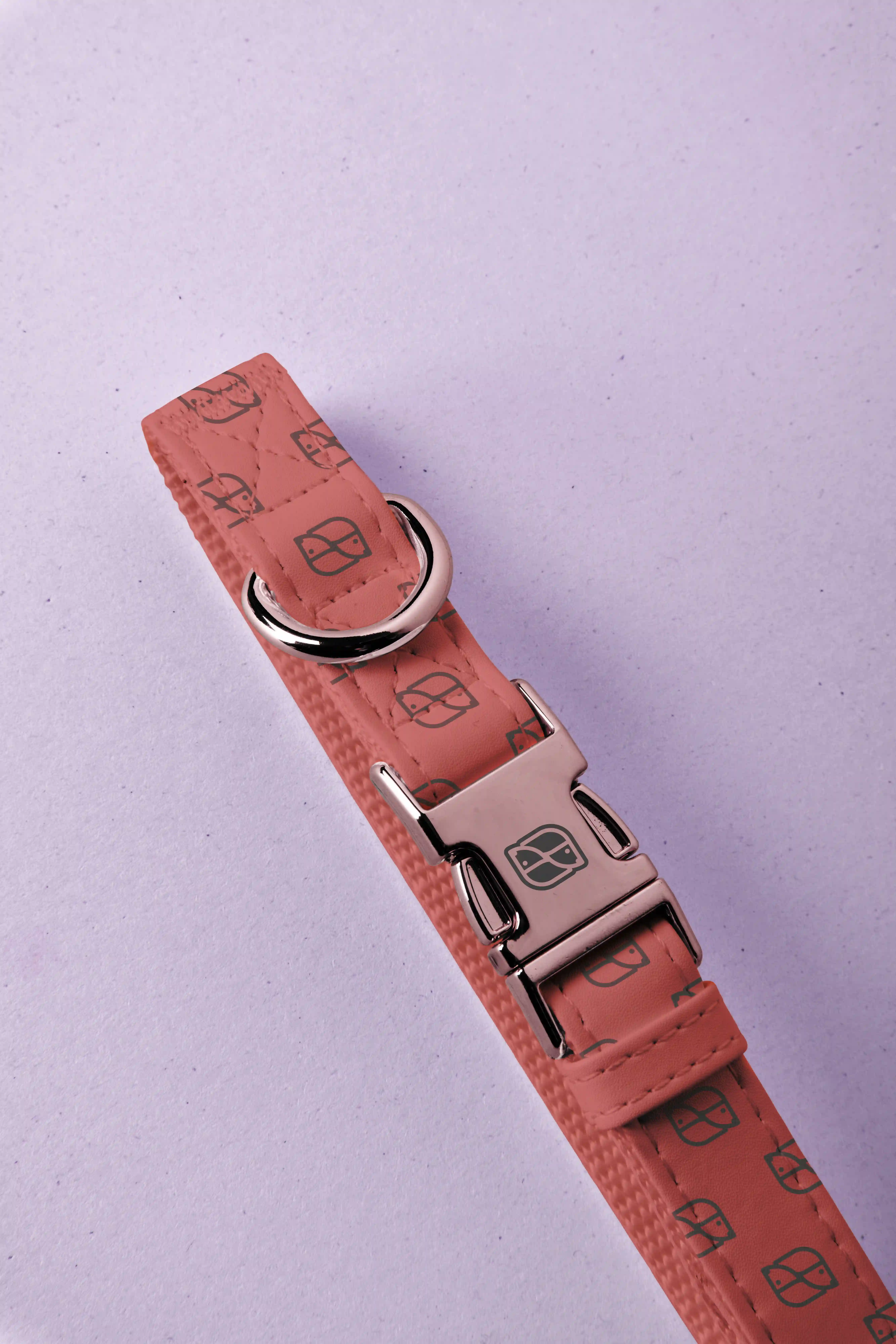 ROLLY 6
