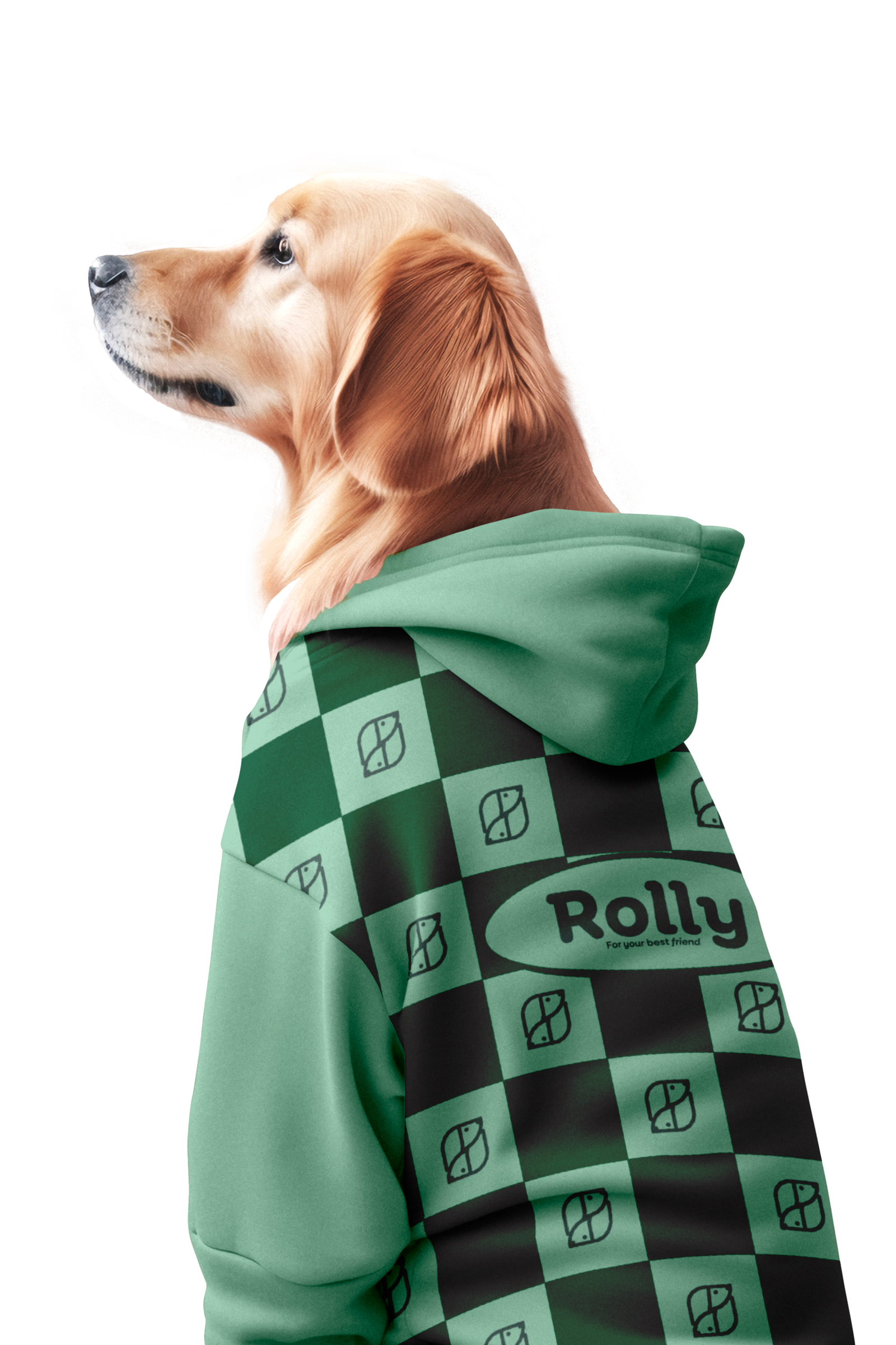 ROLLY 8